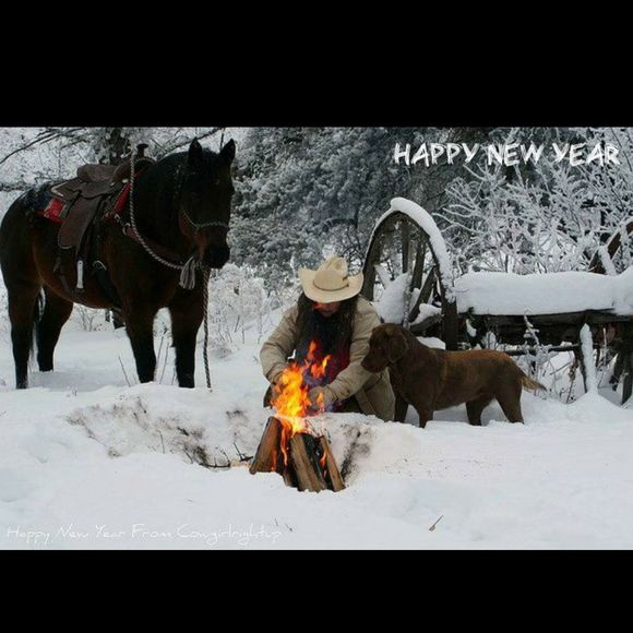 Meet your Posher, Eddie - Picture 1 of 1